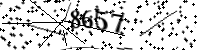 请键入下面的字母