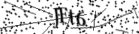 请键入下面的字母