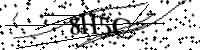 请键入下面的字母