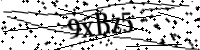 请键入下面的字母