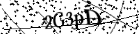 请键入下面的字母