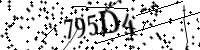 请键入下面的字母