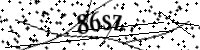 请键入下面的字母